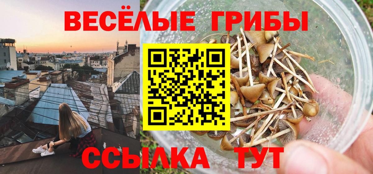 Псилоцибиновые грибы мухоморы Бугуруслан