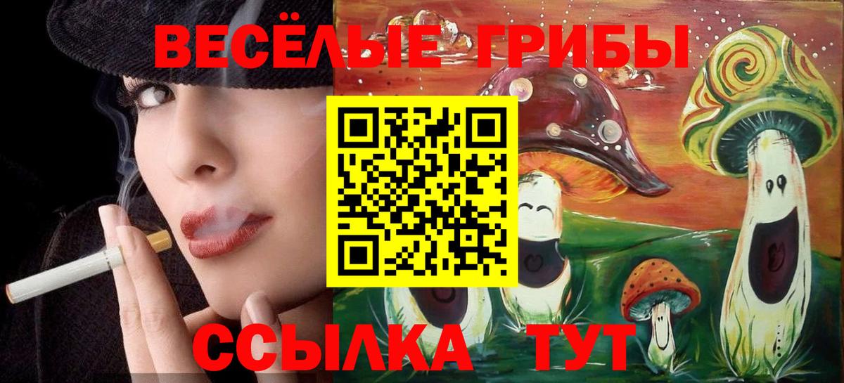 Бугуруслан  Псилоцибиновые грибы Psilocybe  Галлюциногенные грибы ЛСД  Вход с VPN 